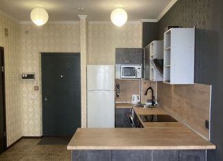 Сдам однокомнатную квартиру, 33 м2, Псковская область, улица Алексея Алёхина, 26