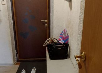 Сдается в аренду 2-ком. квартира, 46 м2, Кингисепп, Крикковское шоссе