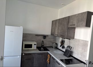 Аренда квартиры студии, 25 м2, Санкт-Петербург, Колпинское шоссе, 129