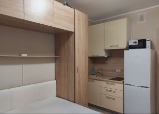 Сдам в аренду квартиру студию, 23 м2, Санкт-Петербург, Политехническая улица, 6