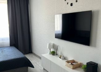 1-комнатная квартира в аренду, 43 м2, Республика Башкортостан, улица Гази Загитова, 7