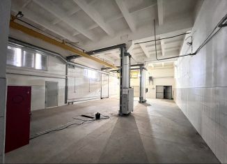 Сдаю в аренду производство, 240 м2, Новосибирская область, Станционная улица, 60/1к83