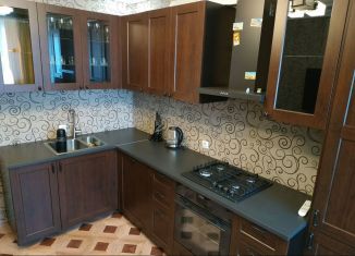 Аренда однокомнатной квартиры, 50 м2, Уфа, улица Цюрупы, 158/2