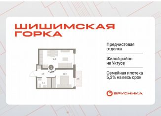 Продам 1-комнатную квартиру, 41.6 м2, Екатеринбург, Чкаловский район, Каслинский переулок, 3