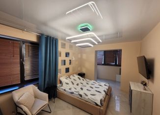 Сдам однокомнатную квартиру, 45 м2, Тула, улица Генерала Маргелова, 5В, Привокзальный территориальный округ