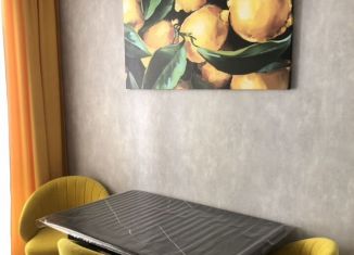 Сдам в аренду 1-ком. квартиру, 38 м2, Республика Башкортостан, улица Пархоменко, 151/2