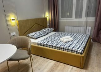 Сдам квартиру студию, 31 м2, Республика Башкортостан, улица Аксакова, 81