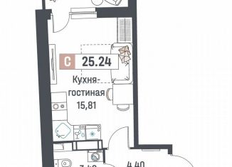 Квартира на продажу студия, 25.2 м2, Мурино, ЖК Авиатор