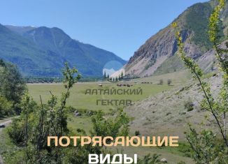 Продаю участок, 112 сот., Республика Алтай