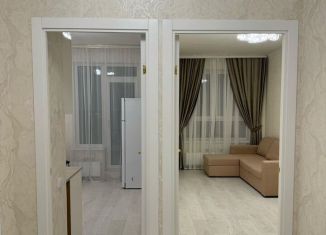 Сдаю 1-ком. квартиру, 32.9 м2, Санкт-Петербург, Русановская улица, 20к1, Невский район