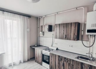 Продается двухкомнатная квартира, 60 м2, деревня Красный Поселок, улица Фадеева, 8, ЖК Сампо