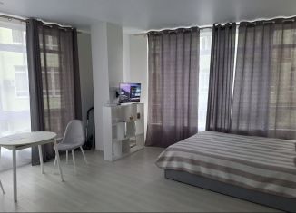 Сдам в аренду квартиру студию, 34 м2, Сочи, Лечебный переулок, 2/3, микрорайон Старая Мацеста