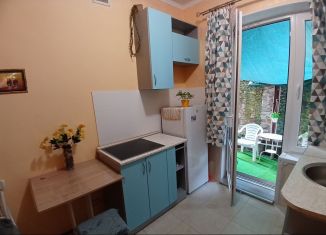 Сдача в аренду однокомнатной квартиры, 25 м2, Ростов-на-Дону, Павлодарская улица, 140/157