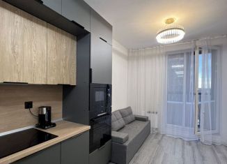 Сдается 1-комнатная квартира, 40 м2, посёлок Парголово, Михайловская дорога