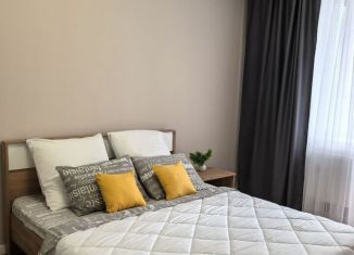 Сдаю однокомнатную квартиру, 35 м2, поселок городского типа Стройкерамика, улица Николая Симонова, 19