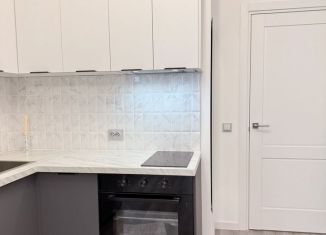 Сдам в аренду квартиру студию, 25 м2, Санкт-Петербург, Дальневосточный проспект, 23