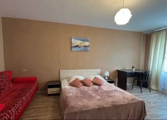 Сдача в аренду однокомнатной квартиры, 33 м2, Республика Башкортостан, Революционная улица, 70