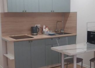 Квартира в аренду студия, 20 м2, Котельники, микрорайон Белая Дача, 26, ЖК Кузьминский Лес