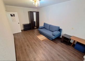 Аренда 1-комнатной квартиры, 33 м2, Санкт-Петербург, улица Морской Пехоты, 10к1