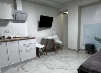 Сдаю квартиру студию, 23 м2, Сочи, Крымская улица, 67/1