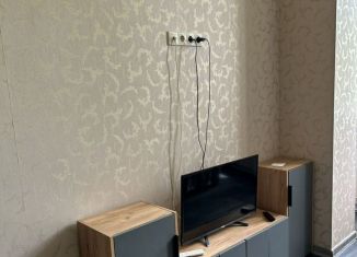 Сдаю в аренду квартиру студию, 40 м2, Сочи, Орбитовская улица, 2Б, микрорайон Энергетик-Изумруд