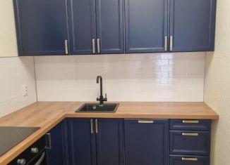 Сдается однокомнатная квартира, 36 м2, посёлок Парголово, Михайловская дорога, 16к3