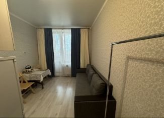 Сдается квартира студия, 24 м2, деревня Бородино, Варшавское шоссе, 78, ЖК Европа