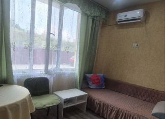 Квартира в аренду студия, 26 м2, Сочи, улица Яна Фабрициуса, 66/6