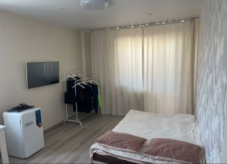 Сдаю в аренду квартиру студию, 27 м2, Республика Башкортостан, Природная улица, 24