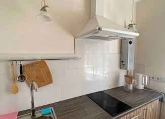1-ком. квартира в аренду, 36 м2, Краснодар, улица Костылева, 148, микрорайон Центральный