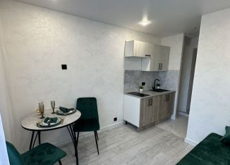 Квартира на продажу студия, 17 м2, Самарская область, улица Свободы, 82А