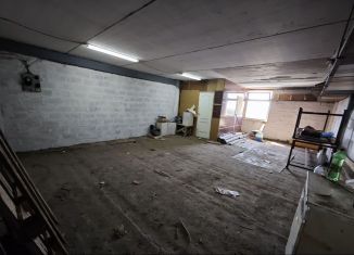 Сдается в аренду производство, 57 м2, Самарская область, Борковская улица, 59