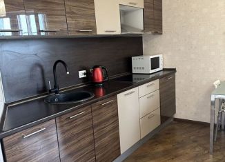 Сдается 1-ком. квартира, 53 м2, Краснодар, улица Кубанская Набережная, 31/1, Западный округ