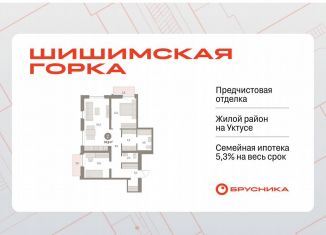 Продажа 2-комнатной квартиры, 74.9 м2, Екатеринбург, метро Чкаловская, Каслинский переулок, 3