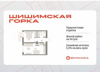 1-комнатная квартира на продажу, 42.5 м2, Екатеринбург, Чкаловский район, Каслинский переулок, 3