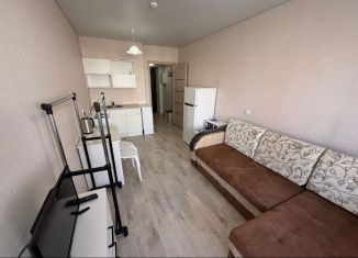 Аренда квартиры студии, 28 м2, Республика Башкортостан, Сливовая улица, 8