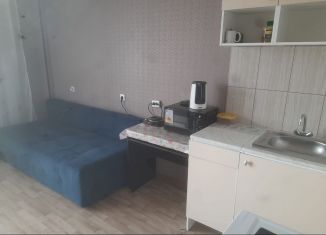 Сдам квартиру студию, 20 м2, Новосибирск, улица Михаила Кулагина, 35, метро Золотая Нива