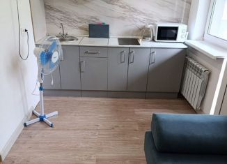 Сдаю квартиру студию, 25 м2, деревня Бородино, Варшавское шоссе, 68, ЖК Европа