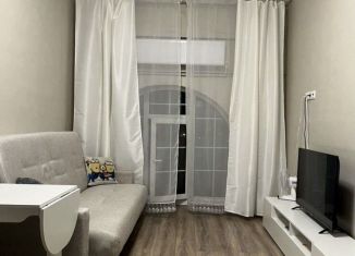 Сдаю однокомнатную квартиру, 20 м2, Москва, аллея Первой Маёвки, 15с1, ВАО