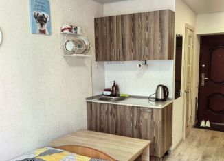 Продажа квартиры студии, 19 м2, Пермь, бульвар Гагарина, 81/3