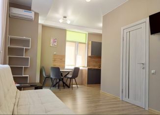 Сдается в аренду квартира студия, 31 м2, Сочи, улица Лысая Гора, 183, микрорайон Светлана