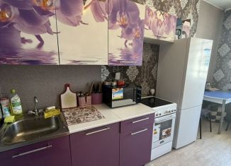 Сдается в аренду однокомнатная квартира, 35 м2, Биробиджан, Широкая улица, 24, микрорайон А