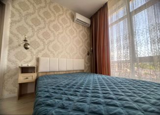 Сдам однокомнатную квартиру, 45 м2, Сочи, Изумрудная улица, 38, микрорайон Голубые Дали