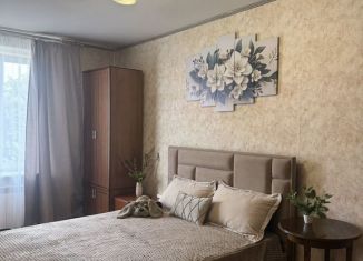 Сдаю 2-ком. квартиру, 47 м2, Санкт-Петербург, Большая Пушкарская улица, 48, муниципальный округ Кронверкское