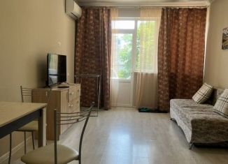Сдается 1-ком. квартира, 56 м2, Сочи, улица Цюрупы, 32