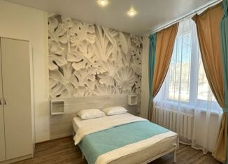 Однокомнатная квартира на продажу, 25.3 м2, Архангельск, улица Федота Шубина, 44к2, Октябрьский округ