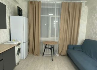 Продается квартира студия, 20 м2, Екатеринбург, улица Старых Большевиков, 18