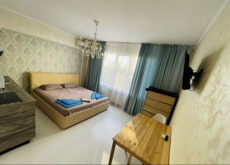 Сдаю квартиру студию, 26 м2, Сириус, улица Энергетиков, 11А