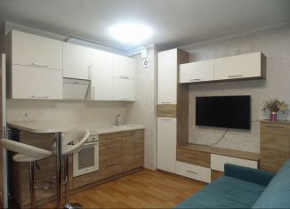 Сдаю квартиру студию, 27 м2, посёлок Парголово, Толубеевский проезд, 26к1