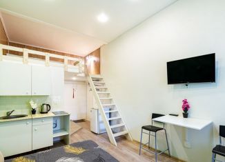 Аренда квартиры студии, 27 м2, Санкт-Петербург, Каменноостровский проспект, 20, муниципальный округ Кронверкское